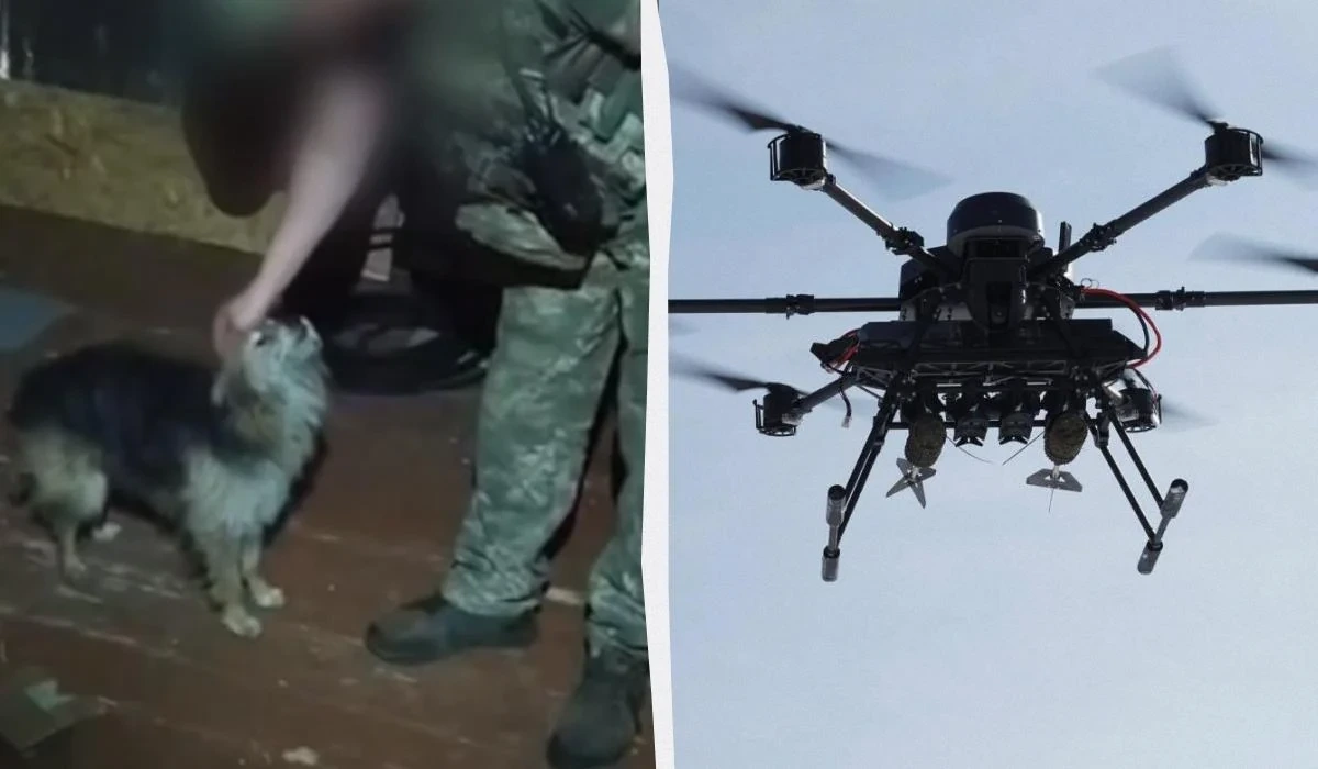 Успішно пролетіли 12 км: воїни ЗСУ дроном евакуювали з позиції кота та собаку (відео)