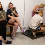 У Запорізькій області пролунали вибухи на тлі атаки дронів