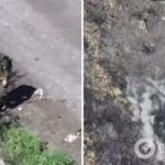 “Штурмовики на велосипедах і піхотинці-“одноразки”: у Нацгвардії показали, як розносять окупантів на Покровському напрямку. Відео