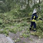 Повалені дерева, затоплені будинки та вулиці: у ДСНС показали наслідки негоди в Україні